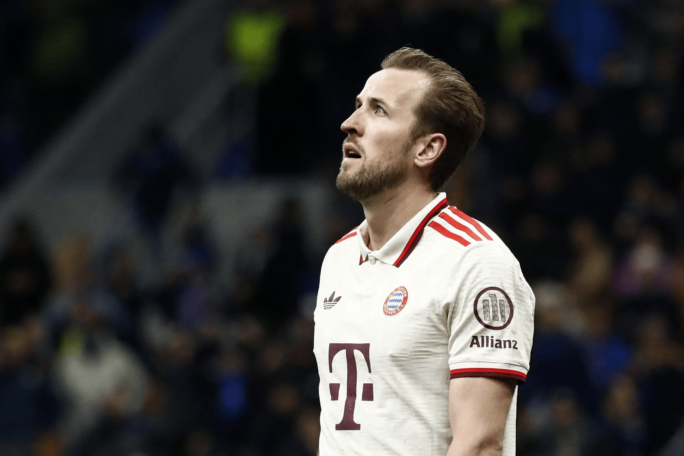 凯恩连续七场比赛得分超过高光表现，TL挑战极限！的简单介绍